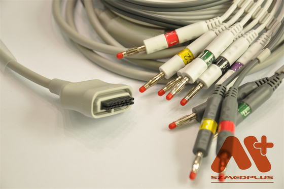 エーダンSE 15-15 EKGケーブル,IEC,バナナ4.0